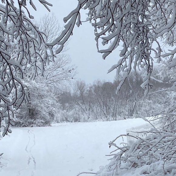 Meet your Posher, Kathleen - Picture 9 of 11